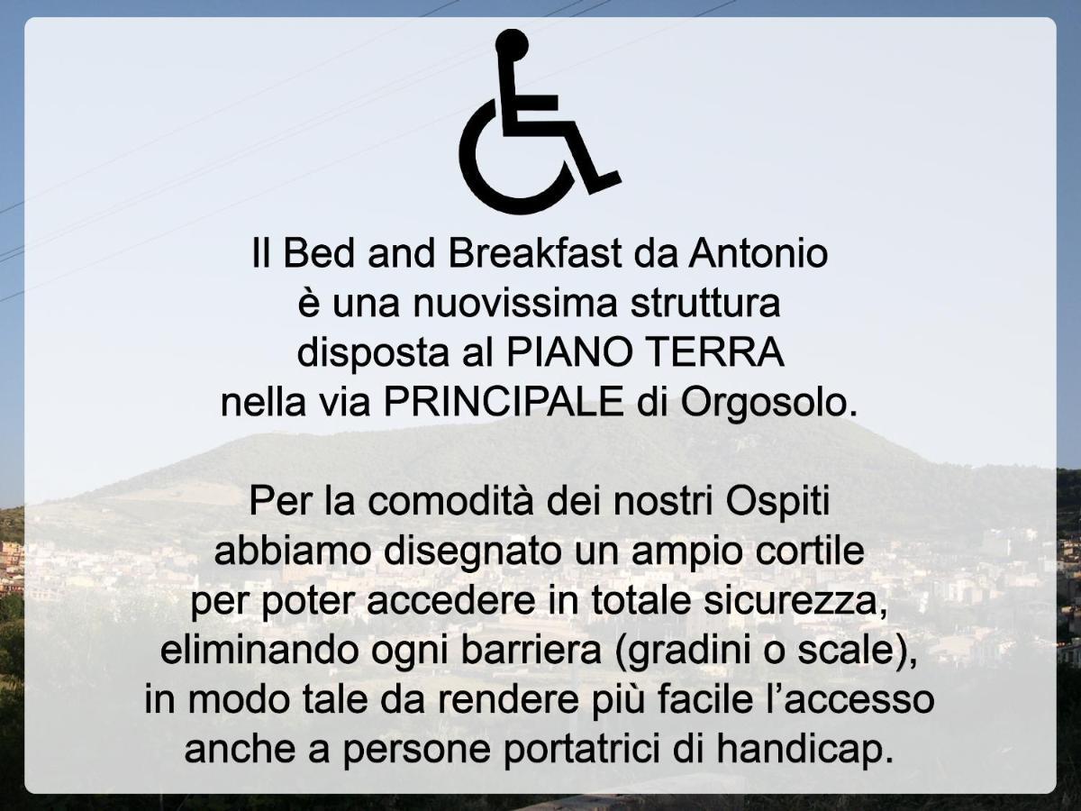 Bed And Breakfast Da Antonio - 오르고솔로 외부 사진