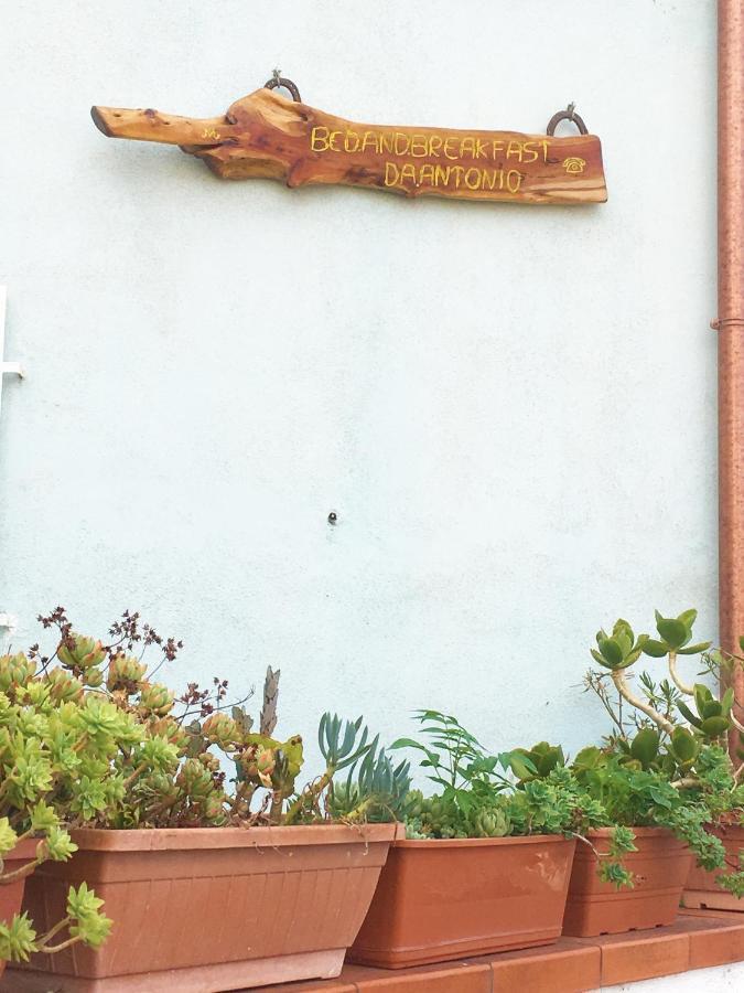Bed And Breakfast Da Antonio - 오르고솔로 외부 사진